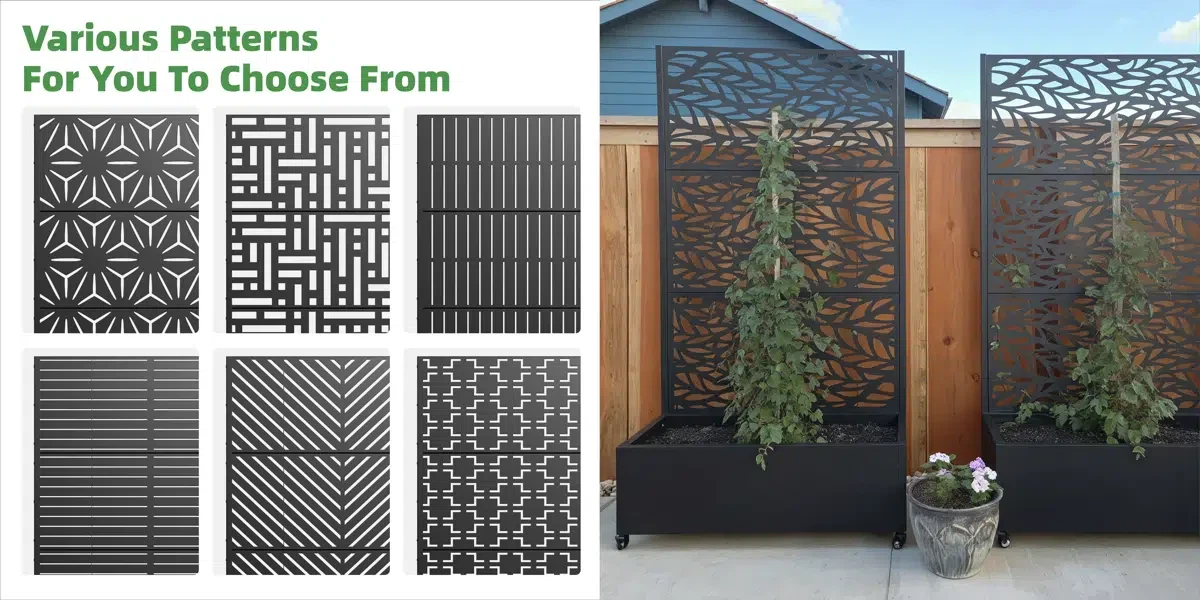 defaultname 1 defaultname 1